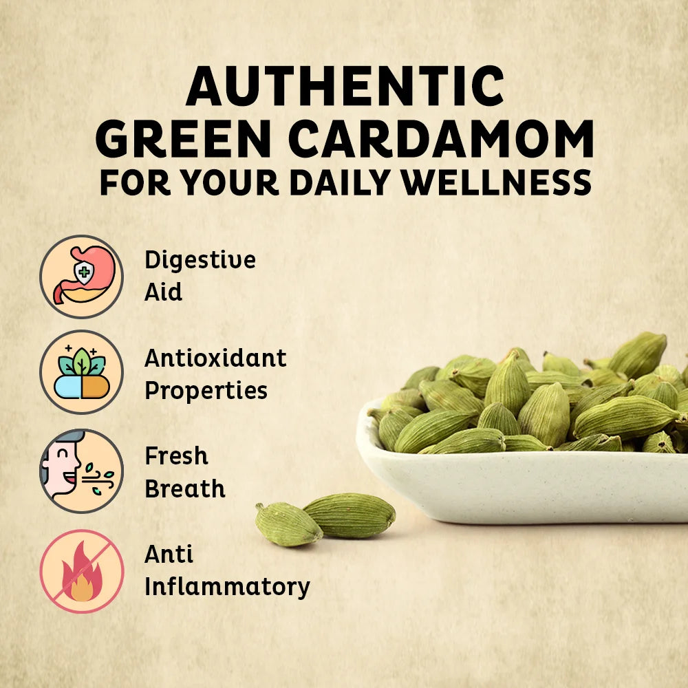 Orika Bold Green Cardamom Whole 25g | Bold Elaichi Green | No Artificial Colours or Preservatives