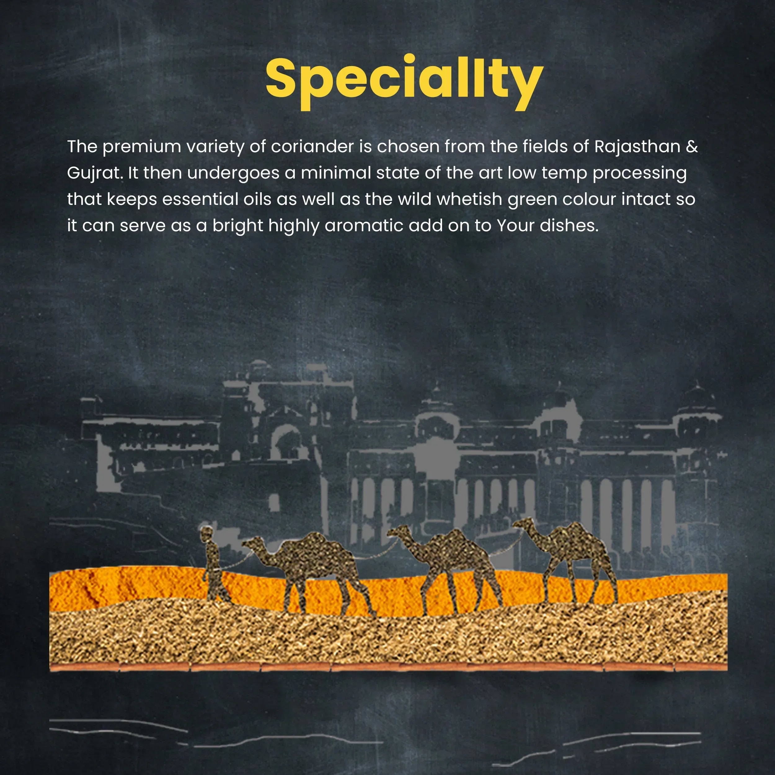 Orika Double Parrot Coriander Whole, 150gm - Orika Spices India