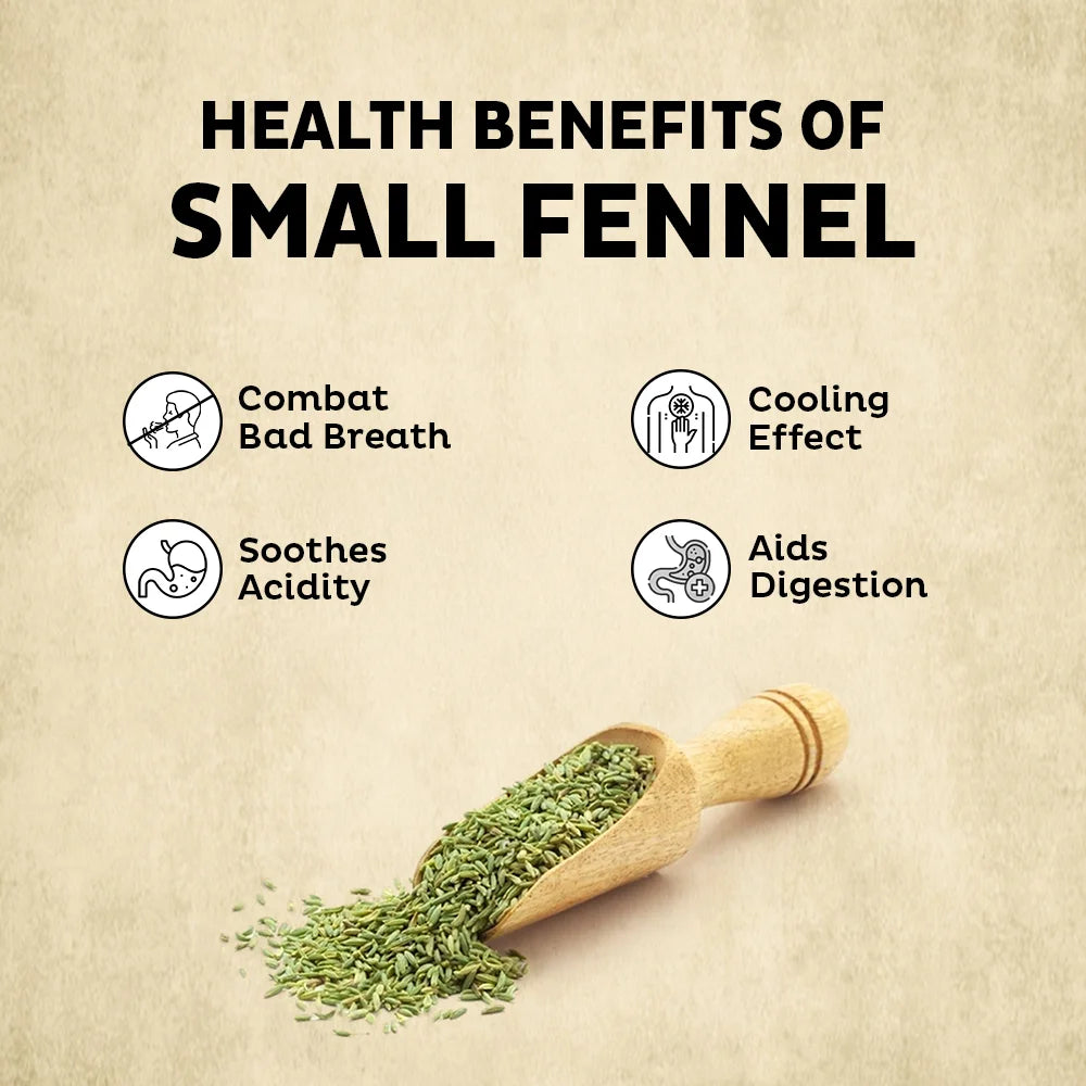 Orika Lucknowi Barik Saunf | Premium Fine Fennel Seeds for Mukhwas, Digestive, Cooking & Mouth Freshener | Aromatic & Flavourful – 100g Jar - Orika Spices India