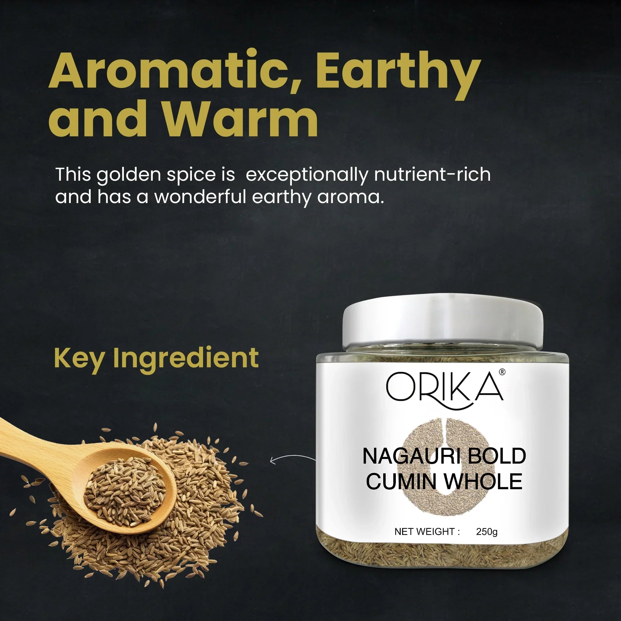 Orika Nagauri Bold Cumin Whole Combo, Pack of 2, 250gm/each - Orika Spices India