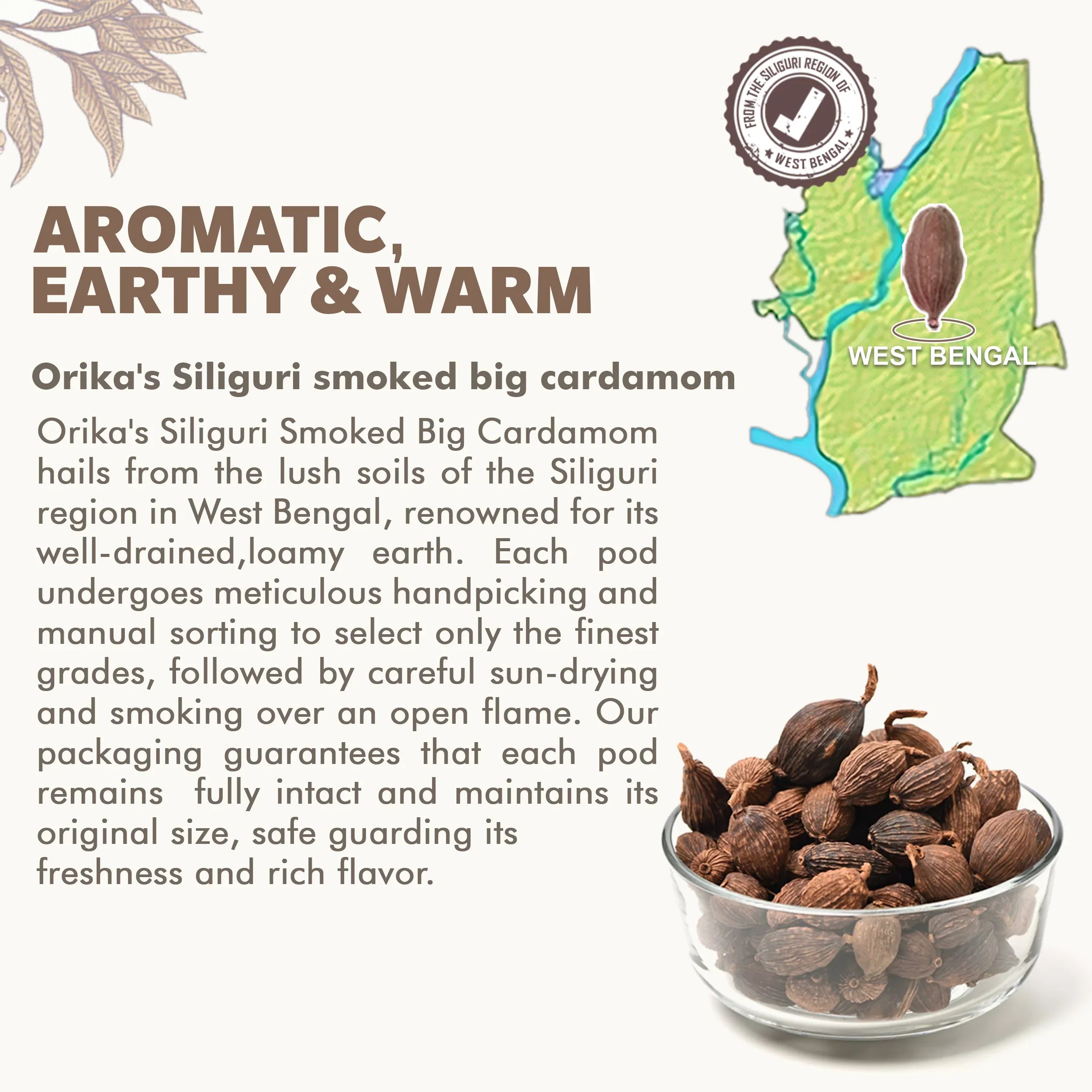 Orika's Siliguri Smoked Big Cardamom,60g - Orika Spices India